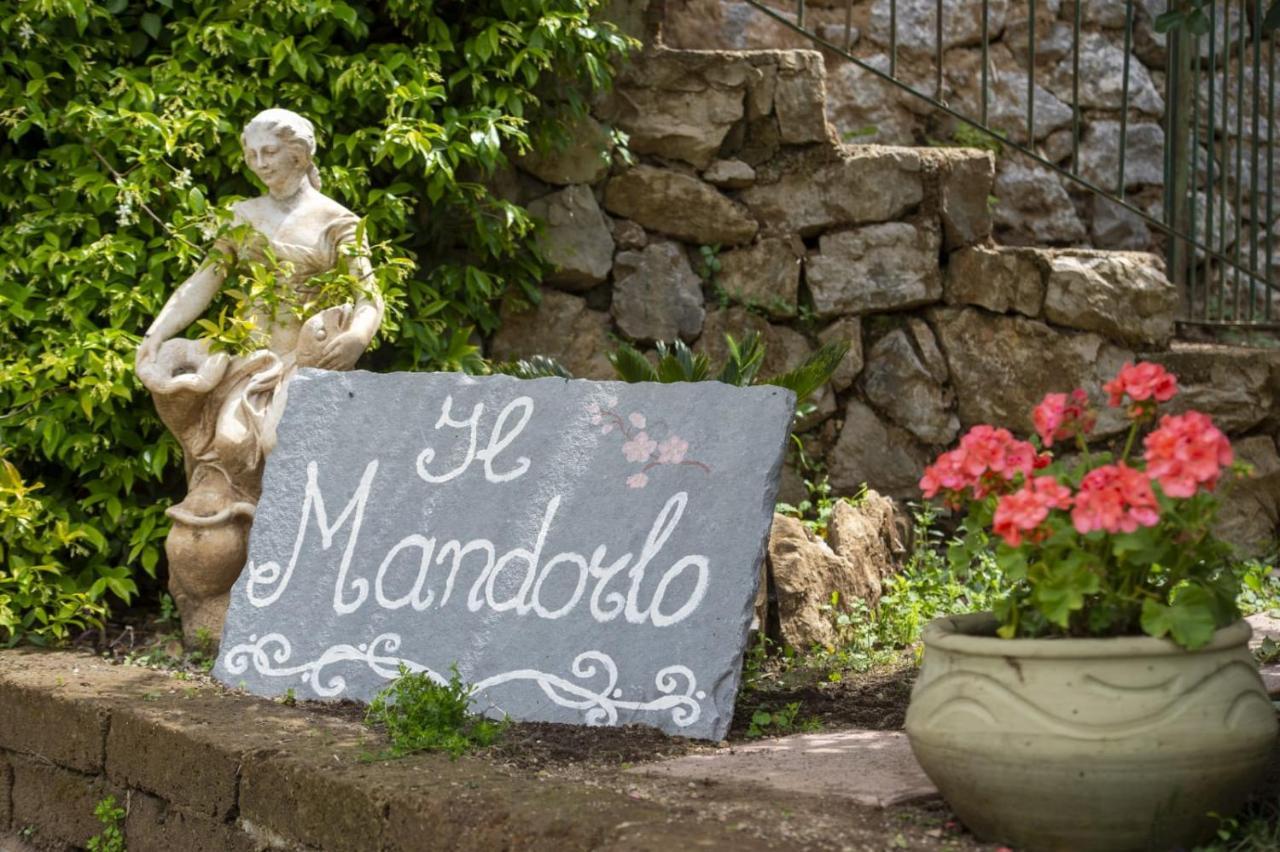 Il Mandorlo Bed & Breakfast Tramonti Ngoại thất bức ảnh